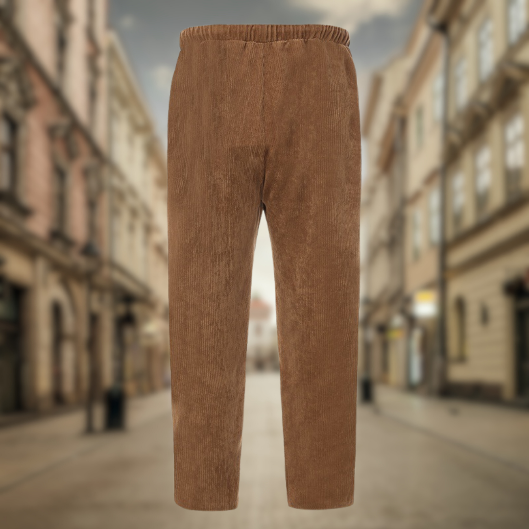 Didier | Velvet effect trousers for men